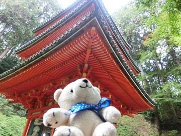 見上げてる〜