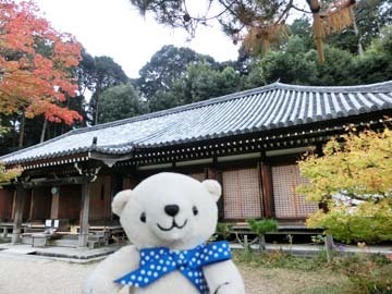 美しかった!