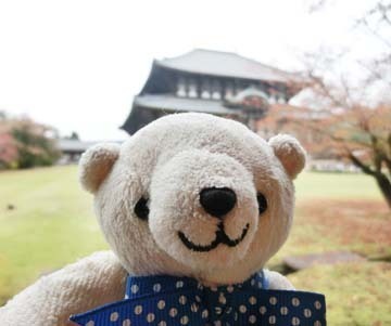 わかるよねw