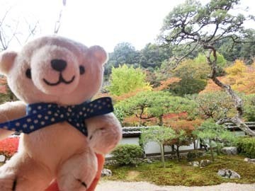 孔雀明王様らぶ