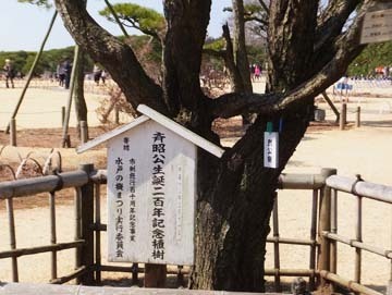 なんだかすごい
