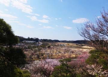 広いよね