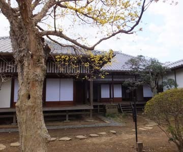 真っ白です