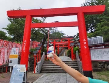 鳥居をくぐります〜