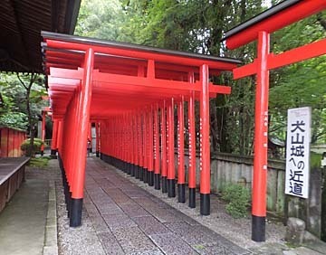 こういう雰囲気がいいね