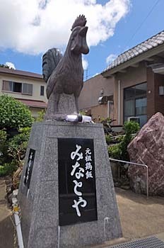 にわとりだー