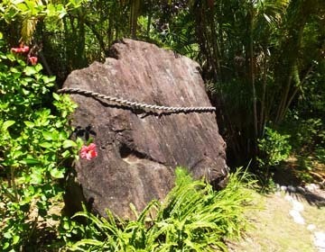 精霊がやどる?