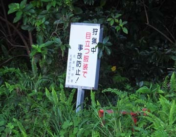 こんなところに出ましたw