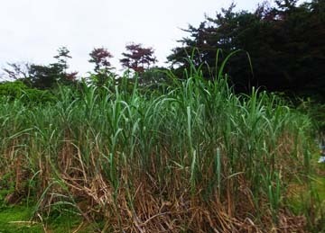 こんな風景