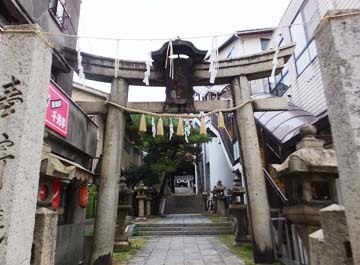 すごいわ