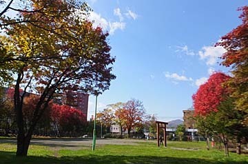 知らなかったです