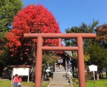紅葉綺麗〜