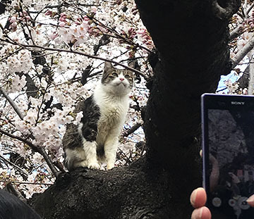 あら可愛い