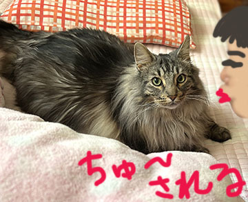 IMG_0516.jpeg