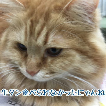 ショック!