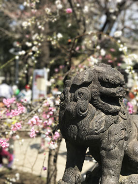 残念