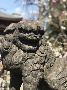かっこいいでしょ