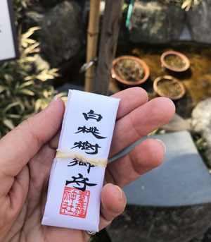 厄除けです!