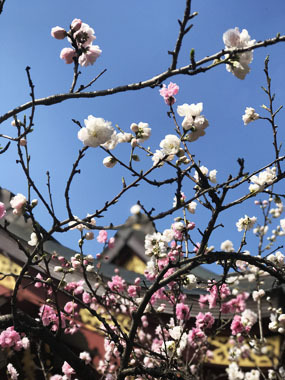 すてきな一日