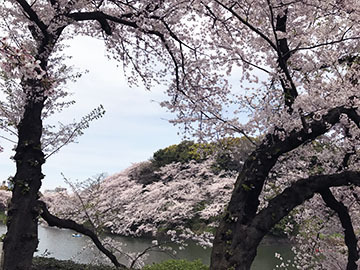 良い天気