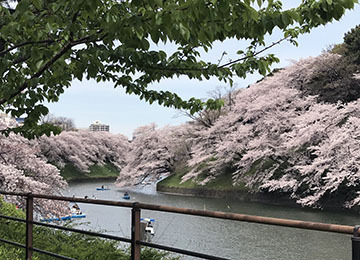 ボートも乗ってるよ