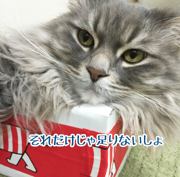 たりないよねw