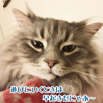寝ぼけがお