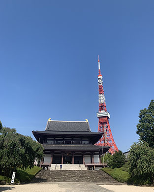 IMG_3782.jpg