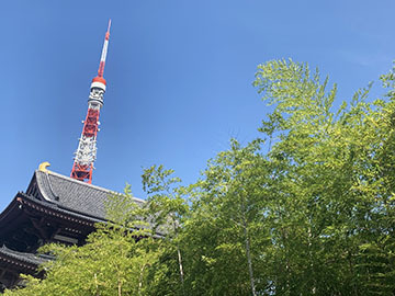 IMG_3790.jpg