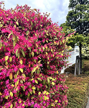 IMG_4400.jpeg