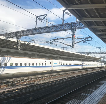 また来るね~