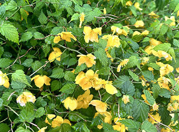 IMG_4897.jpeg