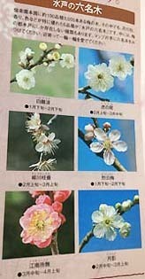 六名木です