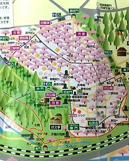 園内MAP