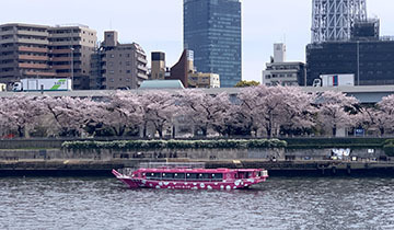 IMG_5793.JPG
