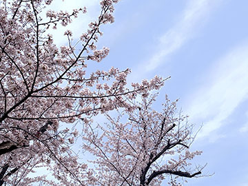 IMG_5794.JPG