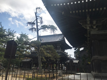 おじゃまします