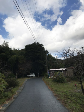てくてく