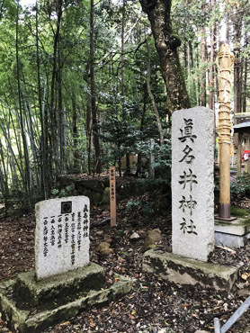 来ました!