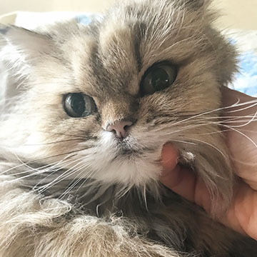 ただいま