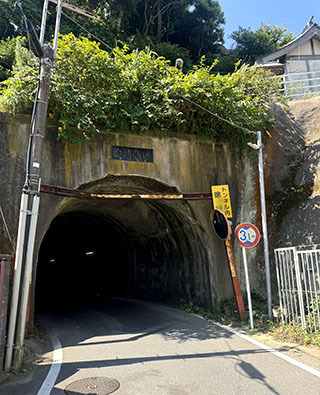 IMG_7658.JPG