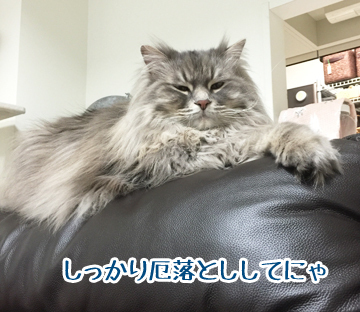 行ってくるよー