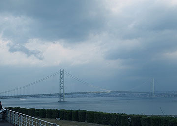P3173431.jpg