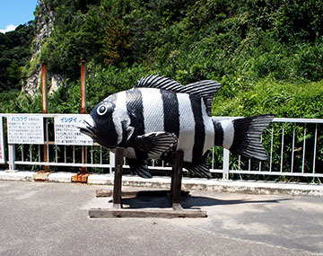 P8140051.JPG