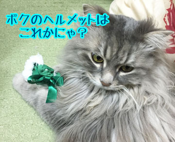 あおはソレね