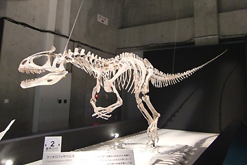 クリオロフォサウルスよ