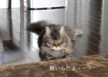 そんな顔をしなくても・・・