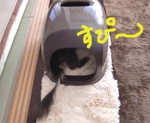 こんな使い道になってます