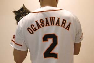 次はイルカちゃんが欲しい