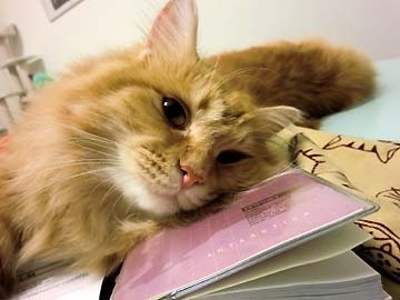 目が二重に見えるでしょ?